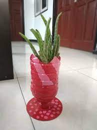 Maybe you would like to learn more about one of these? Terbaru 15 Gambar Bunga Pot Cantik Gambar Bunga Indah