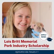 Alicia Weber ha hecho una publicación en LinkedIn