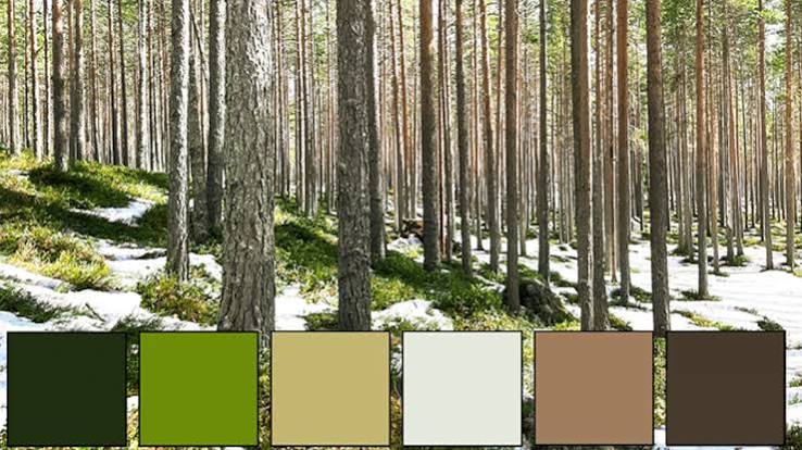 Nature's Color Palettes: Looking to our Planet for Color-Inspiration! - Amy Wax