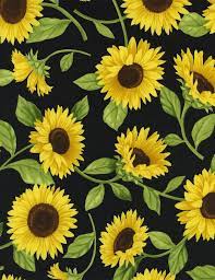 487 sunflower hd wallpapers and background images. Bonanza Find Everything But The Ordinary Sunflower Pictures Sunflower Wallpaper Sunflower Art