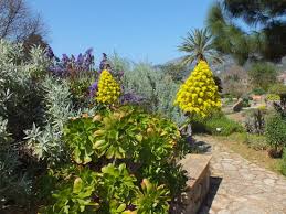 Hier finden sie informationen zu öffnungszeiten, eintrittspreisen, führungen, mietbaren räumen sowie wissenswertes und amüsantes. Jardi Botanic De Soller Aktuelle 2020 Lohnt Es Sich Mit Fotos