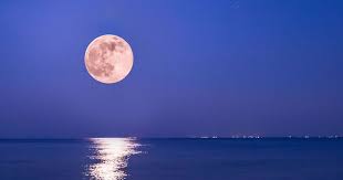 Maybe you would like to learn more about one of these? Super Pink Moon Will Appear Tonight What Is It And How To See It From Ireland Rsvp Live