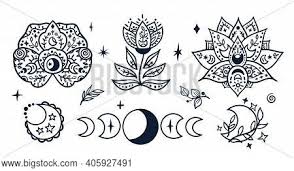 Pngtree provides millions of free png, vectors, clipart images and psd graphic resources for designers.| black hand drawn line side wedding decoration with surrounded round flower plant green leaves border. Black White Celestial Vector Photo Free Trial Bigstock