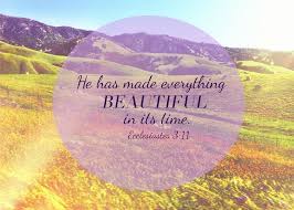 You are beautiful inside and out, and nobody can take that away from you. Pin On Bible Verses To Memorize