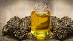 Quels Produits Sont Fabriques A Partir De Cannabis