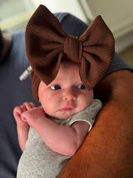 Introduction to Wheaten puppy ownership and training