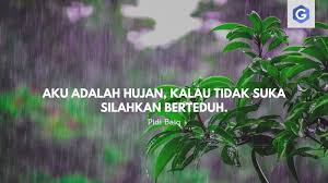 Namun cintaku tak terbagi dan hanya ada kamu seorang sepanjang hidupku. 11 Kata Kata Bijak Pidi Baiq Unik Dan Inspiratif Guratgarut