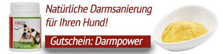 Shop cool personalized hellbrauner anzug with unbelievable discounts. Stuhlgang Beim Hund á… Ursachen Und Hilfe á… Hundepower De