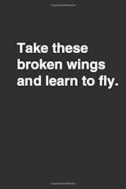 We learn to fly not by being fearless, but by the daily practice of courage. Take These Broken Wings And Learn To Fly Positive Quote Notebook Journal And Diary Wide Ruled College Lined Composition Notebook For 120 Pages 6 Motivational Quote Lined Notebook Series