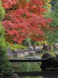 Jonangu Shrine Kyoto Japan Japanese Garden Famous Gardens Nature