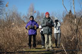 Flock Together for the Great Backyard Bird Count