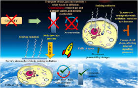 Check spelling or type a new query. Exploration Of Space To Achieve Scientific Breakthroughs Sciencedirect