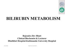 Rajendra Dev Bhatt presentations