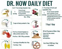Dr Now Diet Nowzaradan Plan Daily Dr Nowzaradan Diet 1200 Calorie Diet Plan Bariatric Diet