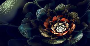 Maybe you would like to learn more about one of these? Black Velvet 1080p 2k 4k 5k Hd Wallpapers Free Download Wallpaper Flare