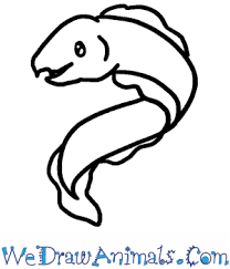 How To Draw A Baby Eel Drawing the eel is a mid 17th century painting by dutch artist salomon van ruysdael. how to draw a baby eel