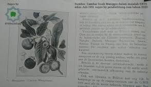 Check spelling or type a new query. Ini Daftar Jenis Buah Buahan Dan Sumber Pangan Di Belitong Tahun 1873 Komunitas Peta Belitung