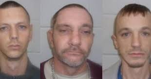 Greene County drug investigations yield eight arrests