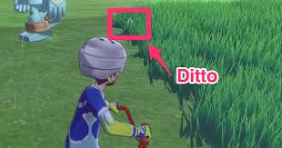 Sword Shield Ditto How To Catch Ditto With High