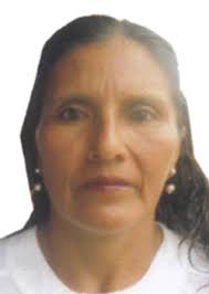 Ingresos de Otorongos Elecciones 2022