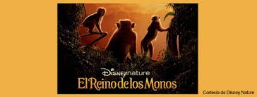 El Reino De Los Monos La Aventura Documental De Disney 01 Revista Cronopio Ideas Libres Y Diversas