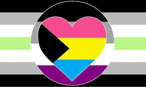 There's also a subtle difference between a biromantic asexual and a panromantic asexual. Made A Personal Pride Flag I Am Agender Asexual And Demi Panromantic Queervexillology