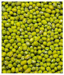 For a more accurate answer please select 'decimal' from the options above the result. Indian Organic Green Gram Moong 1 Kg Rs 100 Kilogram Shukhshree Organic Product Id 19564154055