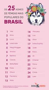Os 25 nomes de fêmea mais populares do Brasil | DogHero