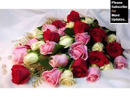 Check spelling or type a new query. Ideas Of Birthday Flower Bouquets Roses Romance Youtube