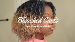 Hair bleach kits come with lightener, brush, and 30 or 40 volume developer. Bleaching Natural Hair Tutorial Youtube
