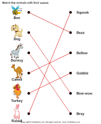 Match Farm Animals With Their Sounds Answer Animal