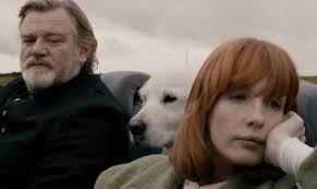 Film Reviewer Jr.: 2014