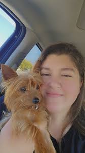 Lost dog in Glenwood area?