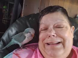 Quaker parrots talking and behavior