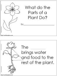 Pin By Ratna Narayan On Rti Elementary Science Plant Science Kindergarten Science