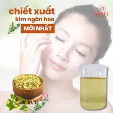 Cung Cấp Chiết Xuất Kim Ngân Hoa Giá Tốt Toàn Quốc
