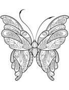 Ausmalbilder Schmetterling Malvorlagen Kostenlos Zum