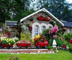 Pin On Garden Flowers Ideas