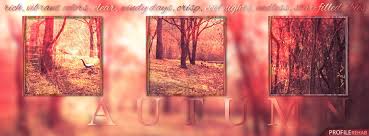 If that's not confusing enough, facebook recommends different sizes for each. Autumn Facebook Cover Quotes Quotesgram