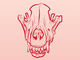 Choose from 10+ animal skull graphic resources and download in the form of png, eps, ai or psd. Dead Animal Skull Vector Art Graphics Freevector Com
