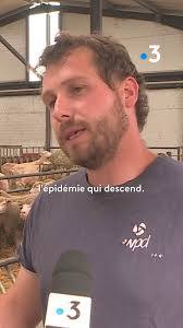 Bourgogne Franche-Comté Matin vendredi 14 octobre