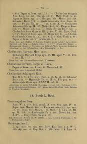 Image result for Cheilanthes schimperi