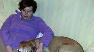 Und ich habe auch gelernt, dass es ebenso super wichtig ist, dass man einen tierarzt „an der hand hat, dem man wirklich vertraut. Ebola Spaniens Behorden Lassen Hund Excalibur Einschlafern Der Spiegel