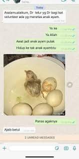 8.312 resep ayam gulung telur ala rumahan yang mudah dan enak dari komunitas memasak terbesar dunia! Kisah Dunia Comel Bagi Bantuan Makanan Termasuk Telur Facebook