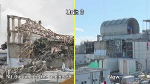 A report from the team leader. Tepco Decommissioning Plan Of Fukushima Daiichi Nuclear Power
