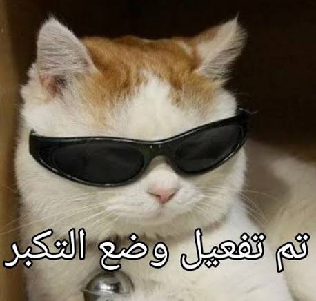 ���� " ����� " images?q=tbn:ANd9GcQKg12TVPzAX4FKA-j0G4WQwmuttcMhjK4Jv2KOT1VHnA&s=10