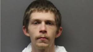 Avoca man convicted of killing mother and dog sentenced