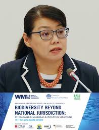 H.E. Rena Lee, ​President of the Intergovernmental Conference