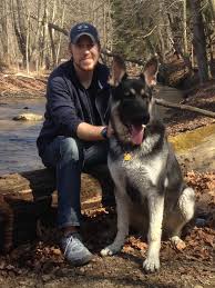 Black And White German Shepherd Puppy Black And Silver And White German Shepherds Huge Head And Bone For Sale Germanshepherd Silver German Shepherd German Shepherd Dogs White German Shepherd