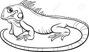 Iguana coloring pages iguanas are a large group of lizards, characterized by elongated scales that extend from the neck to the back and tail. Iguana Para Colorear Iguana Coloring Pages Black And White Cartoon
